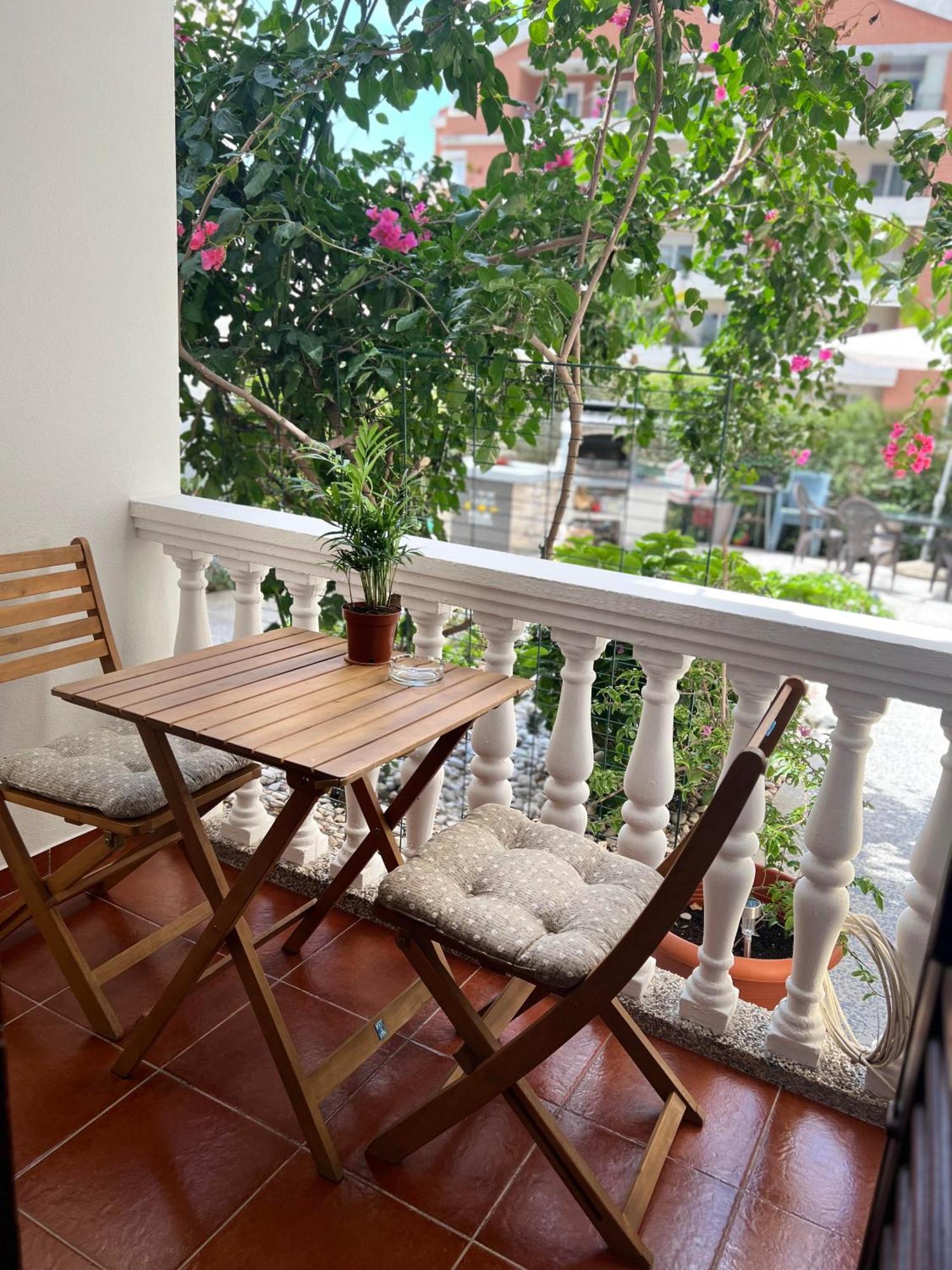 Villa Dionis Budva Eksteriør bilde